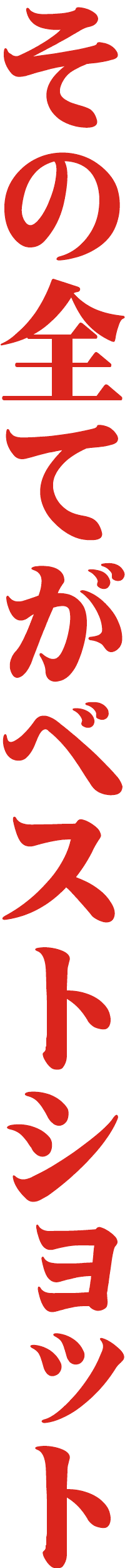 ̑SĂxXgVbg